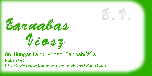 barnabas viosz business card